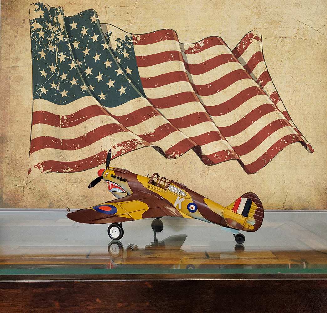  1941 Curtiss Hawk 81A Metal Handmade Scaled Model, Home furniture and dÃ©cor, OLD MODERN HANDICRAFTS, XoticBrands Home Decor