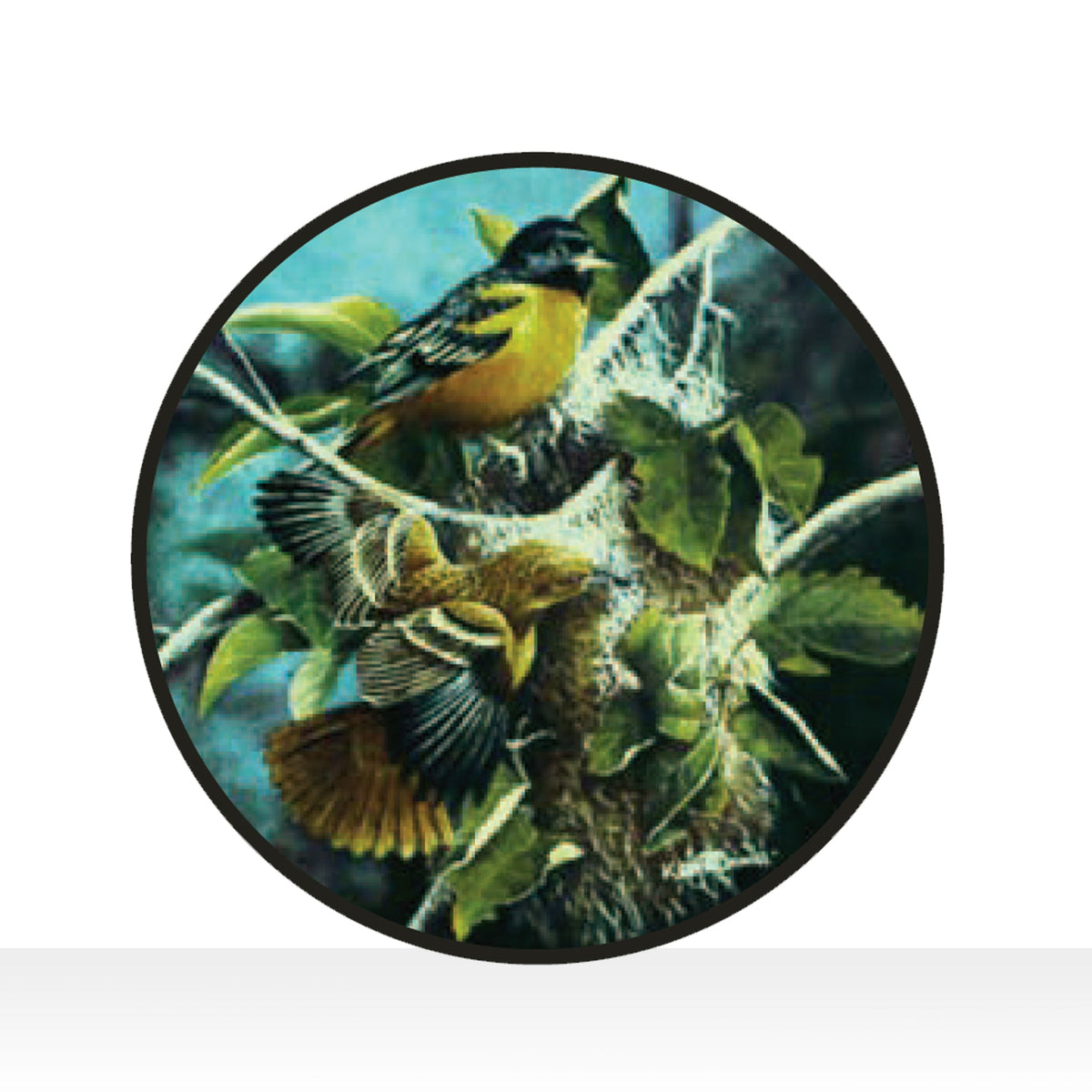 Baltimore Orioles Stained Art Glass Window Hanging - XoticBrands Home Decor