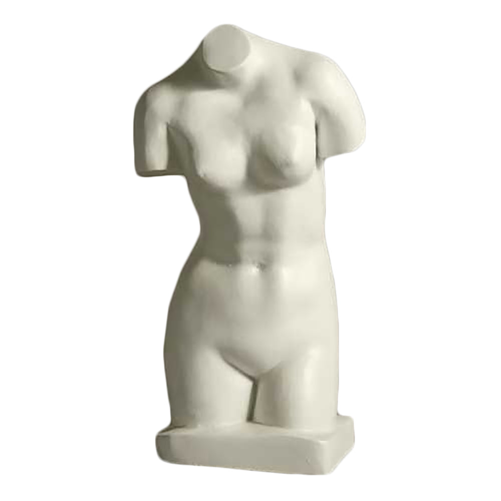 Straight Torso -  Anatomies Drawing Casts - XoticBrands Home Decor
