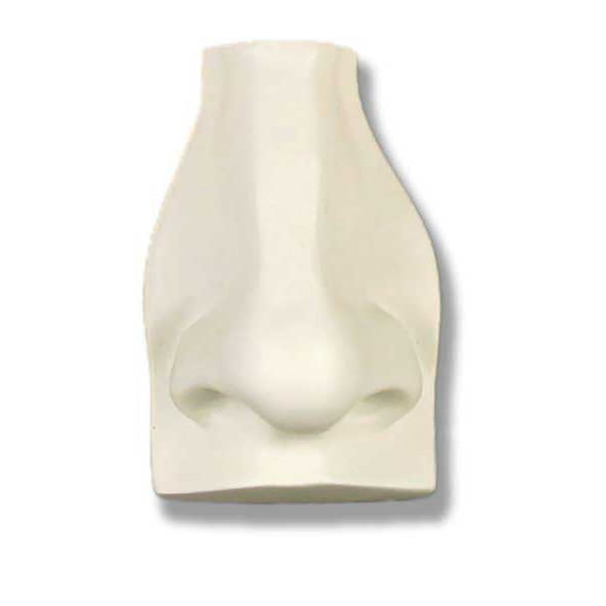David'S Nose -  Apendages Drawing Casts - XoticBrands Home Decor
