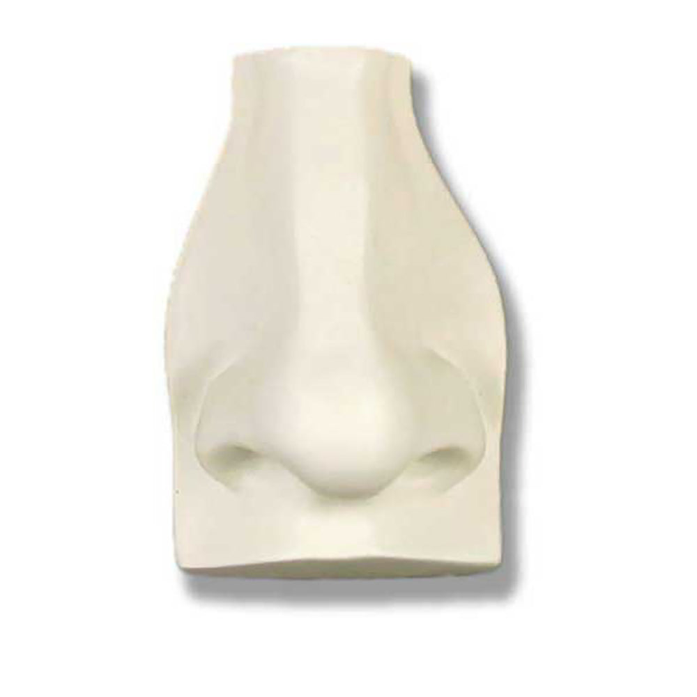 David'S Nose -  Apendages Drawing Casts - XoticBrands Home Decor