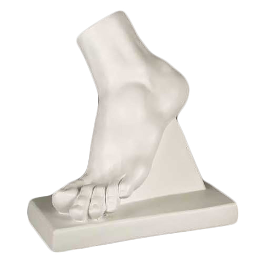 Colossal Foot 12 -  Feet Drawing Casts - XoticBrands Home Decor