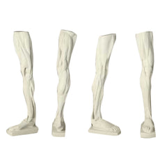 Anatomical Leg -  Anatomies Drawing Casts - XoticBrands Home Decor