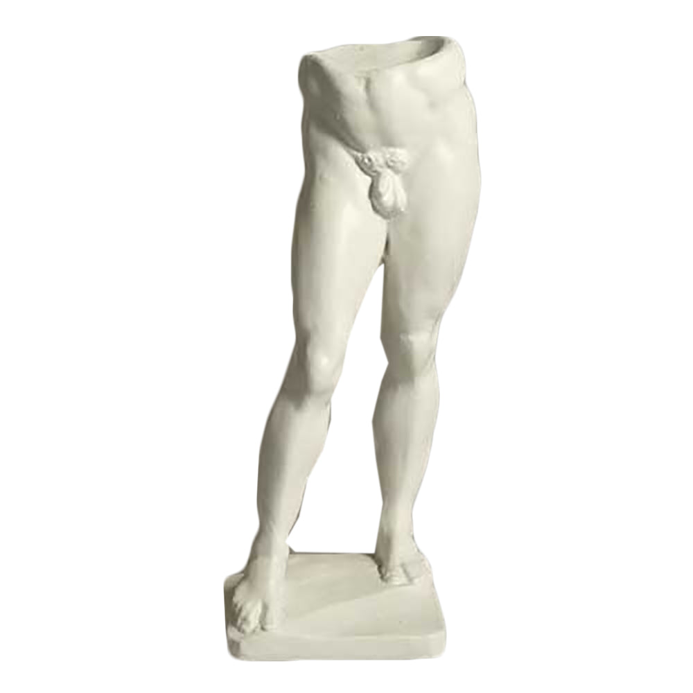 Male Torso -  Anatomies Drawing Casts - XoticBrands Home Decor