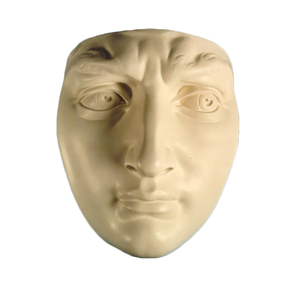 David Mask Wall 19 - Drawing Casts   Apendages - XoticBrands Home Decor