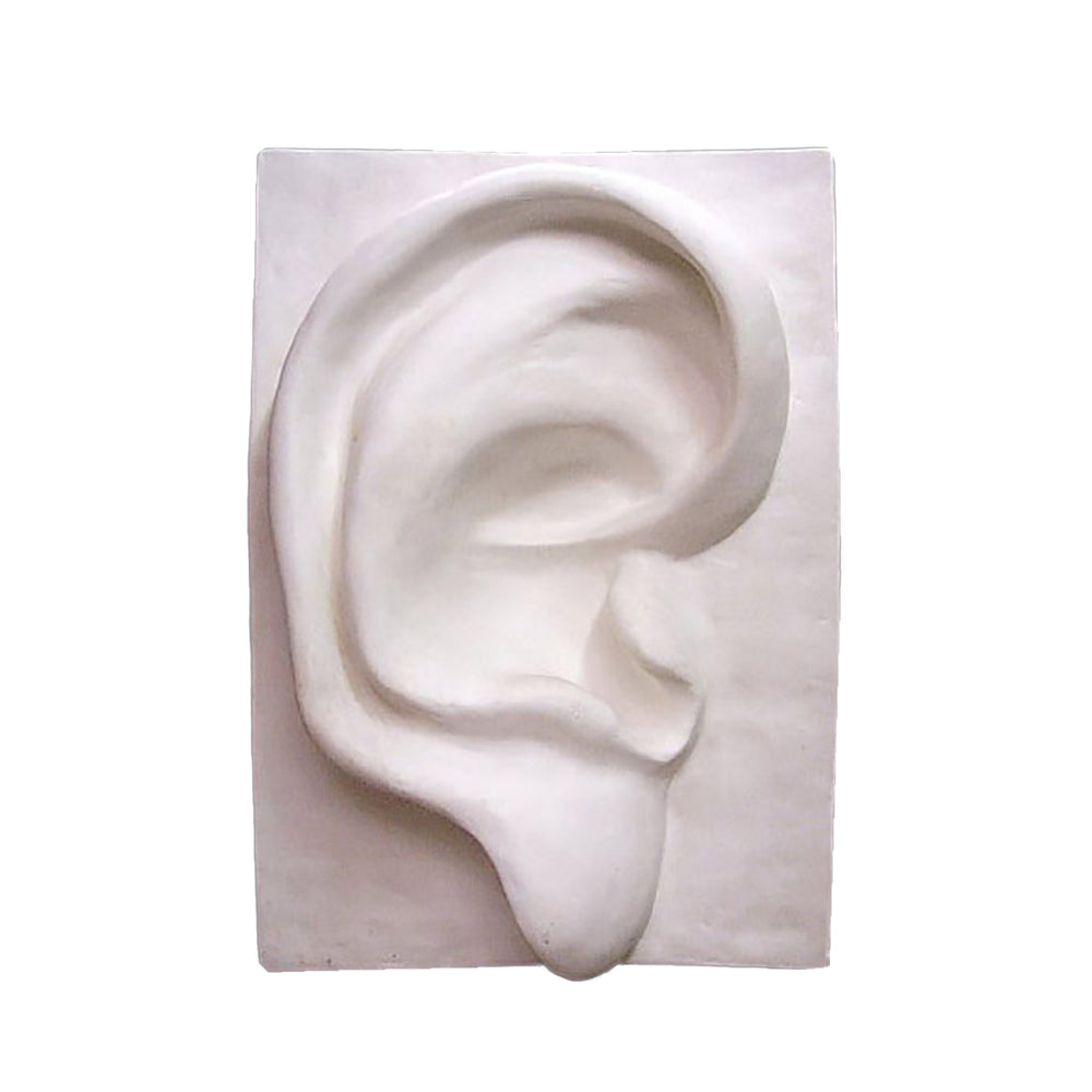Ear Wall Plaque 32H -  Display Display - XoticBrands Home Decor