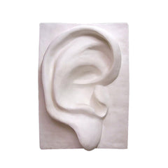 Ear Wall Plaque 32H -  Display Display - XoticBrands Home Decor