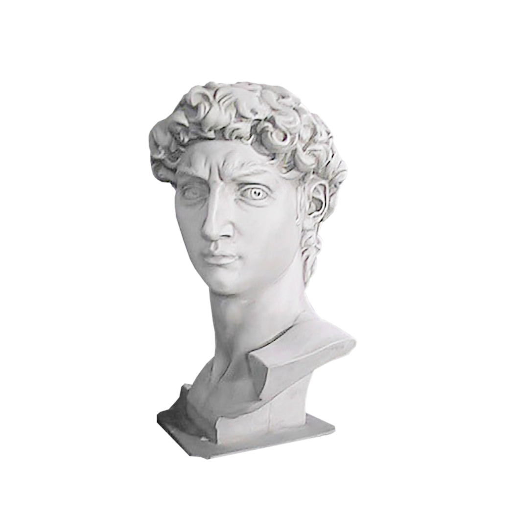 Head Of David From Orig-48 - Busts   Greek & Roman - XoticBrands Home Decor