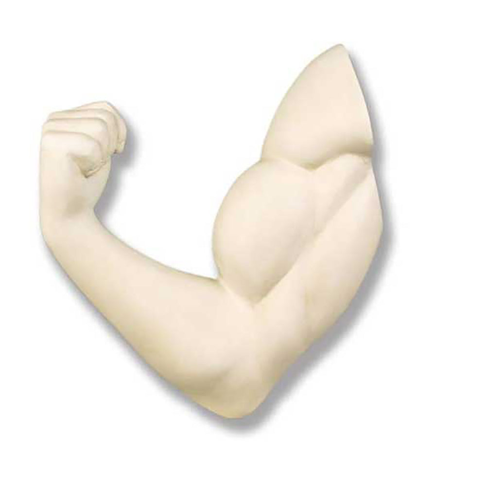 Make A Muscle 17 -  Apendages Drawing Casts - XoticBrands Home Decor