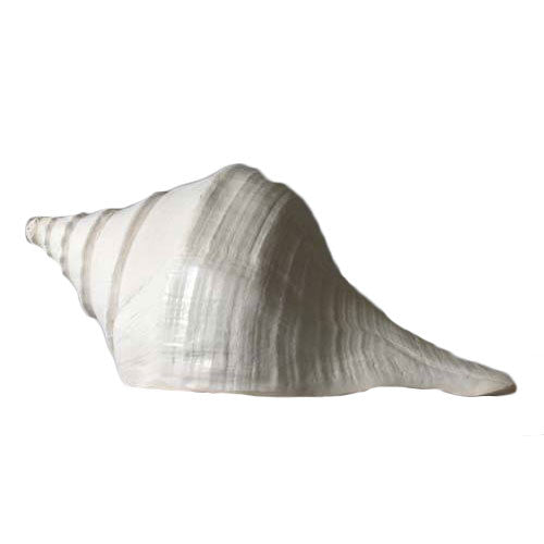 Conch Shell Garden Animal Statue - XoticBrands Home Decor