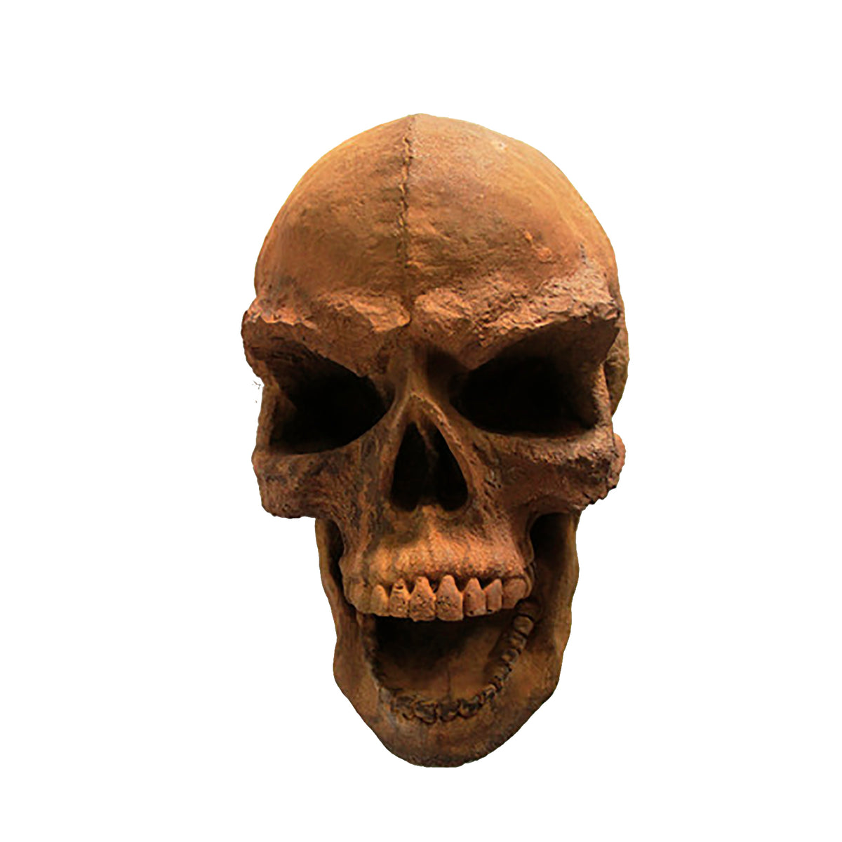 Angry Skull Mask - Drawing Casts - XoticBrands Home Decor