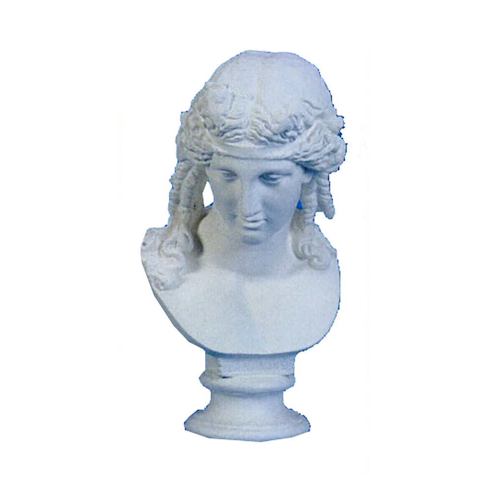 Ariaone/Vatican 29 -  Greek & Roman Busts - XoticBrands Home Decor