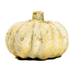 Gourd Small 4 Garden Display - XoticBrands Home Decor