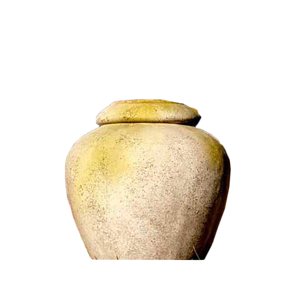 Jar 24 H Garden Display - XoticBrands Home Decor