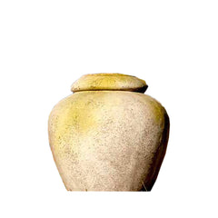 Jar 24 H Garden Display - XoticBrands Home Decor