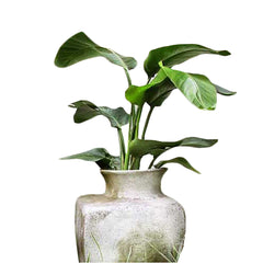 Perfume Vase Square 17 Garden Display - XoticBrands Home Decor