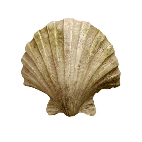 Napoli Shell Sconce 12 H Garden Animal Statue - XoticBrands Home Decor