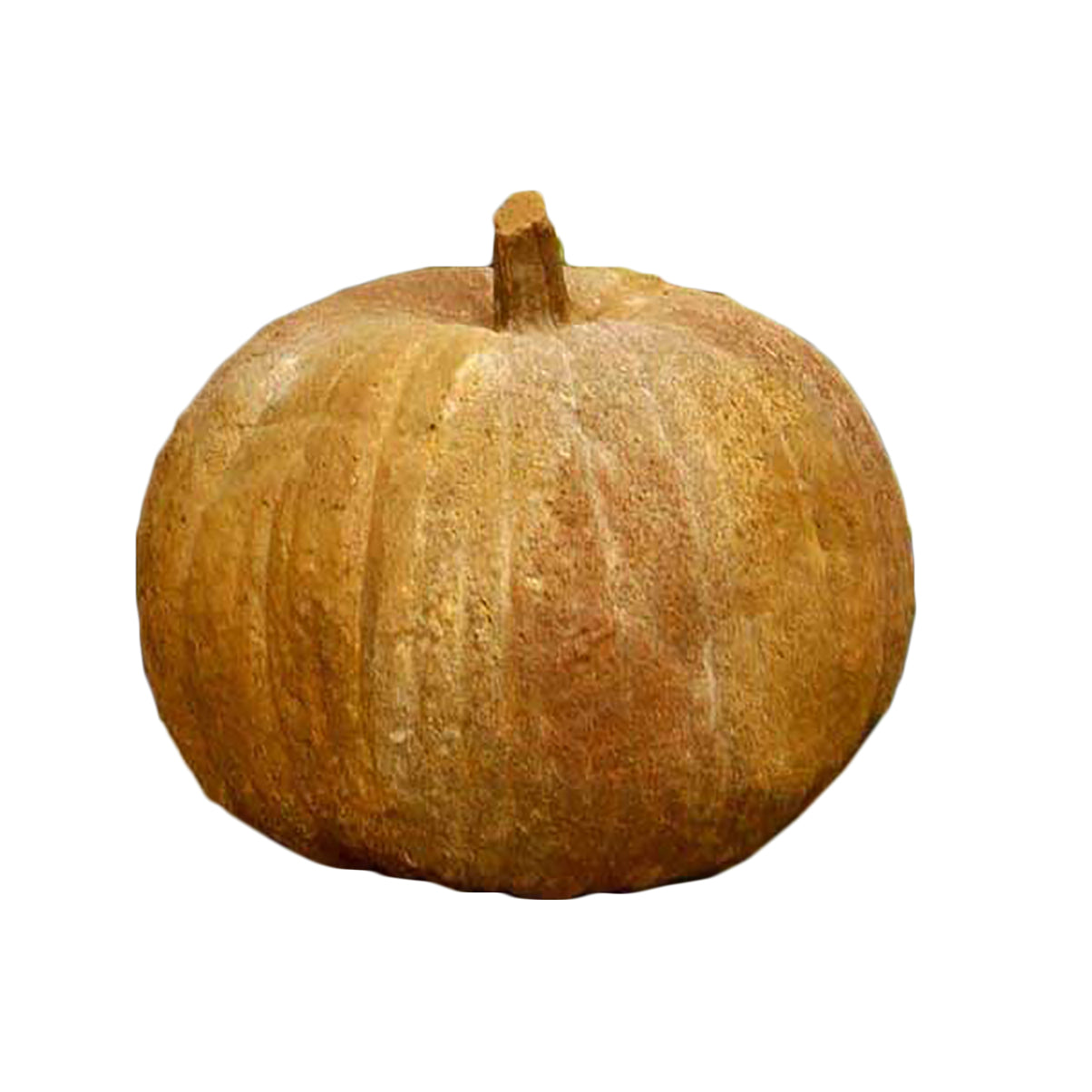 Pumpkin 11 Garden Display - XoticBrands Home Decor