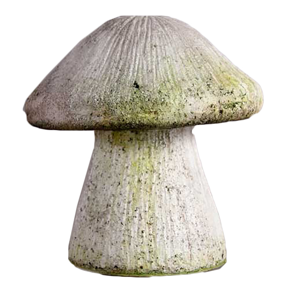 Wild Mushroom 10 -  Display Display - XoticBrands Home Decor