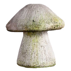 Wild Mushroom 10 -  Display Display - XoticBrands Home Decor