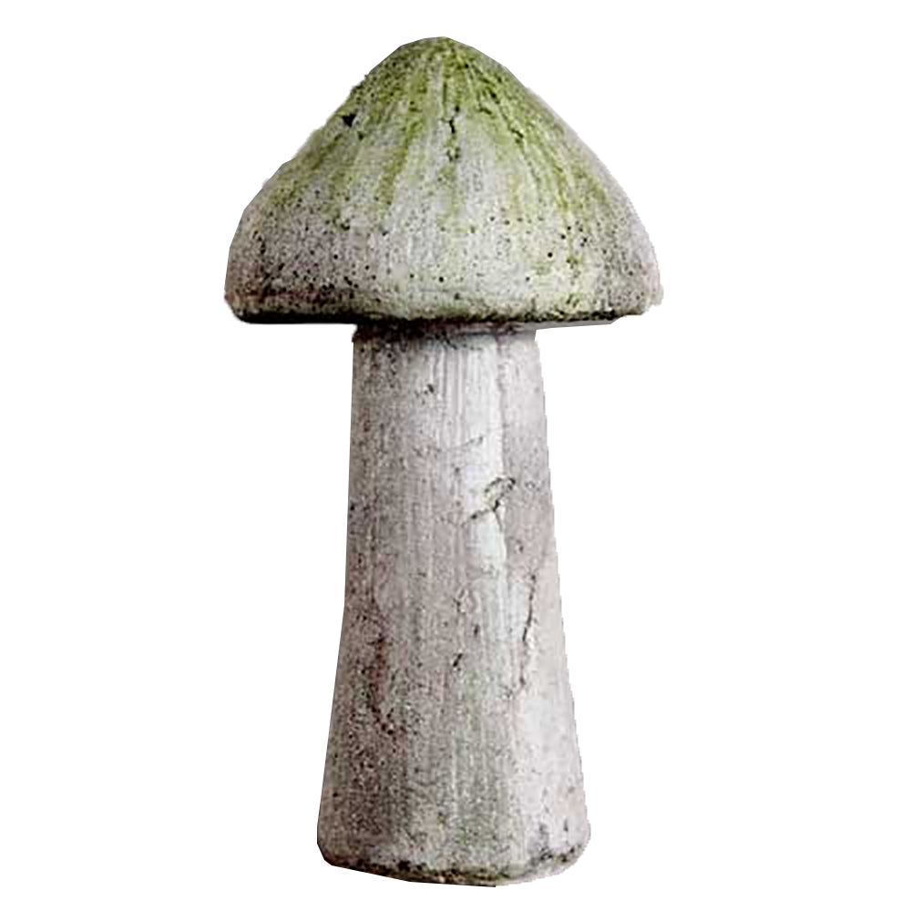 Wild Mushroom 14 -  Display Display - XoticBrands Home Decor