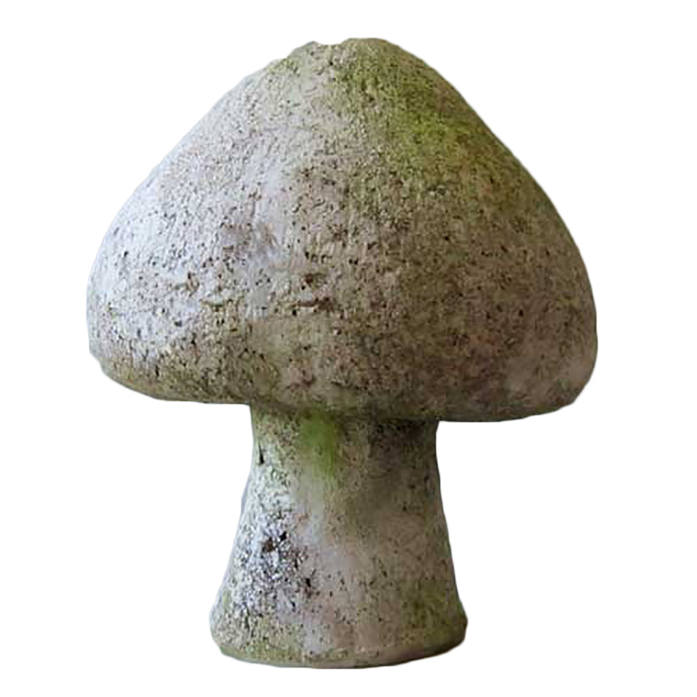 Wild Mushroom 8 -  Display Display - XoticBrands Home Decor