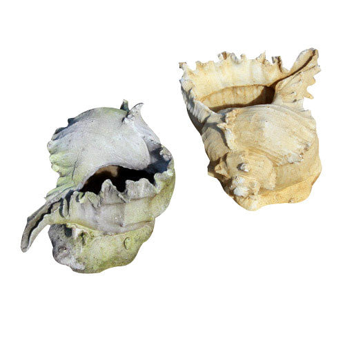 Caribbean Conch Garden Animal Statue - XoticBrands Home Decor