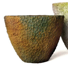 Blossom Planter 8 Inch Garden Display - XoticBrands Home Decor