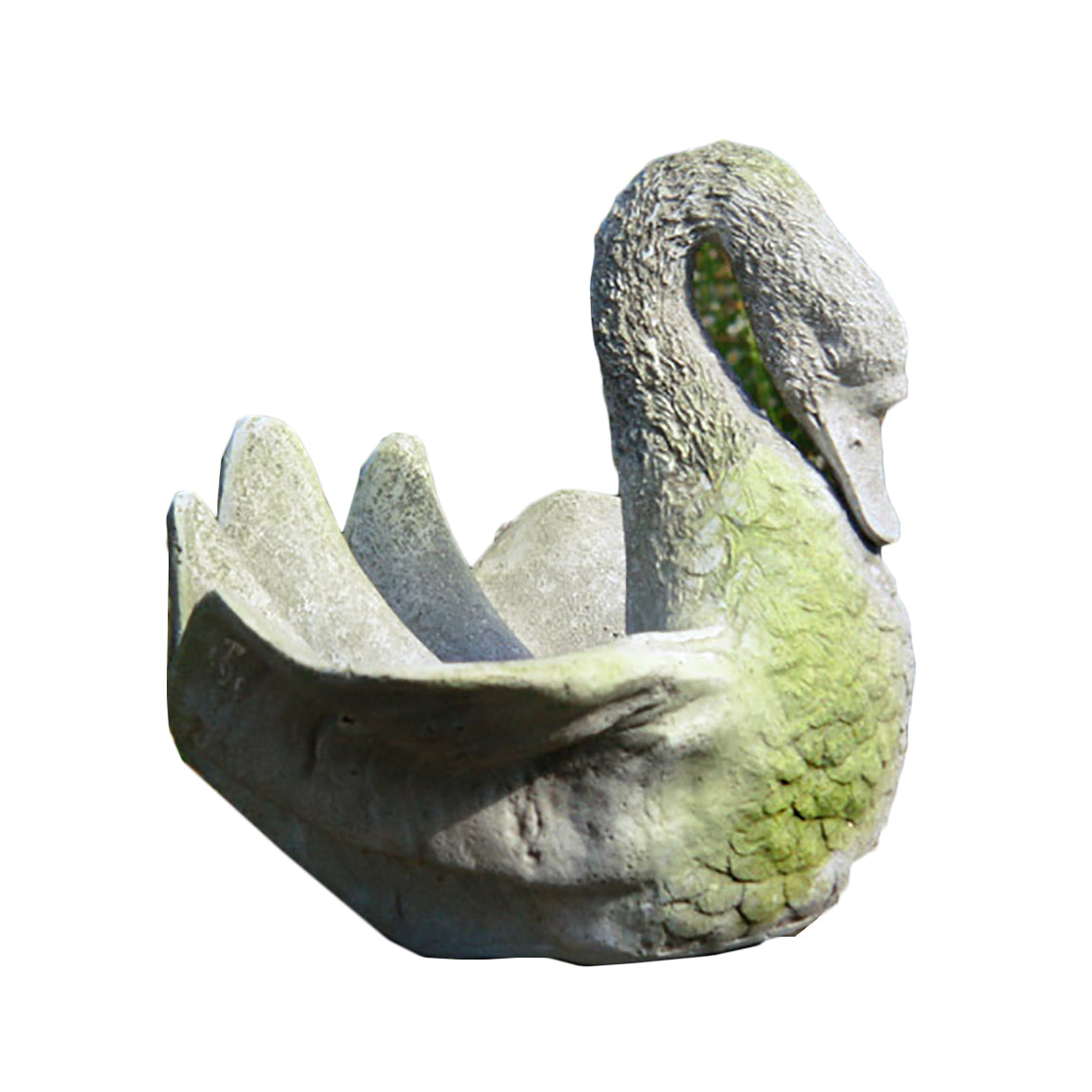 Swans Shell Garden Display - XoticBrands Home Decor