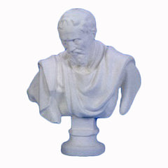 Michelangelo Bust 32 (Chest) -  Greek & Roman Busts - XoticBrands Home Decor