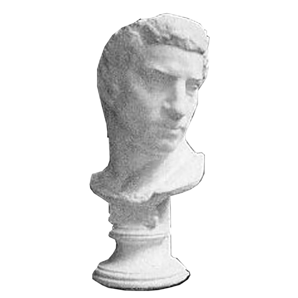 Brutus Bust -  Greek & Roman Busts - XoticBrands Home Decor