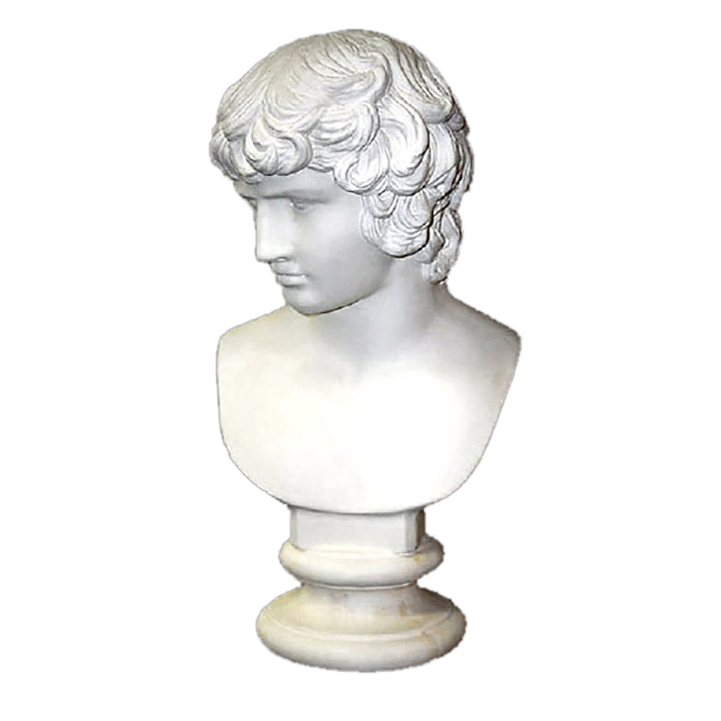 Antinous 26 (From Stefano) - Busts   Greek & Roman - XoticBrands Home Decor