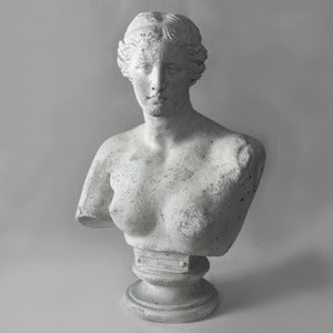  Venus De Milo Bust Medium 21 Animal Busts  Sculpture, Home Decor, XoticBrands, XoticBrands Home Decor
