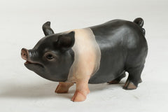  Real Piggy Bank  Animal  Sculpture, Home Decor, XoticBrands, XoticBrands Home Decor