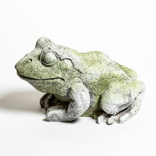  Frog small Animal Sculpture, Home Decor, XoticBrands, XoticBrands Home Decor