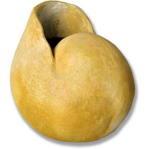 Nautilus Medium 12 Garden Display - XoticBrands Home Decor