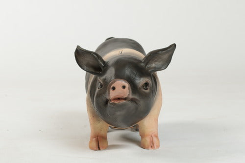 Real Piggy Bank  Animal  Sculpture - XoticBrands Home Decor