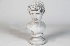  Greek Athlete 18 Animal Busts  Sculpture, Home Decor, XoticBrands, XoticBrands Home Decor