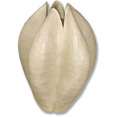 Giant Pod Vase 26 Garden Planter - XoticBrands Home Decor