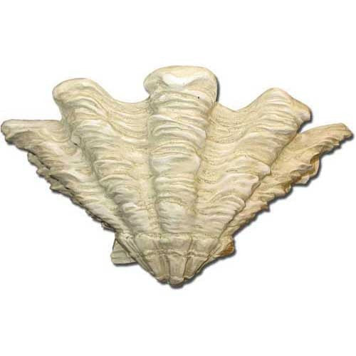 Shell Sconce 9 Garden Animal Statue - XoticBrands Home Decor