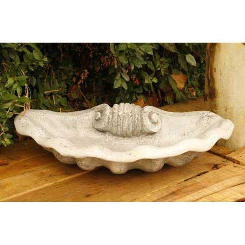  Mio Shell 26 W (Ny)  Animal  Sculpture, Home Decor, XoticBrands, XoticBrands Home Decor
