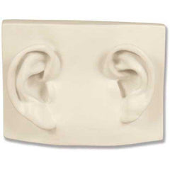 Left/Right Ear On Plaque -  Apendages Drawing Casts - XoticBrands Home Decor