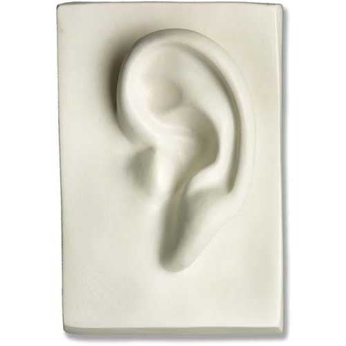 Left Ear 7 -  Apendages Drawing Casts - XoticBrands Home Decor