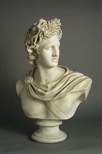  Apollo Belvedere 31  Busts  Sculpture, Home Decor, XoticBrands, XoticBrands Home Decor
