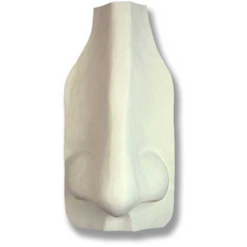 Colossal Nose 43 Rstr -  Display Display - XoticBrands Home Decor