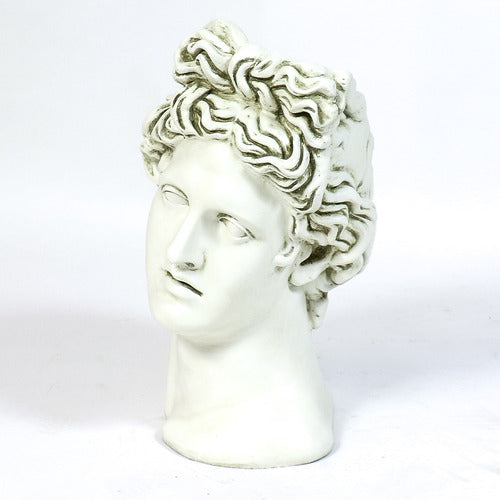  Apollo Head Planter 17 Animal Busts  Sculpture, Home Decor, XoticBrands, XoticBrands Home Decor