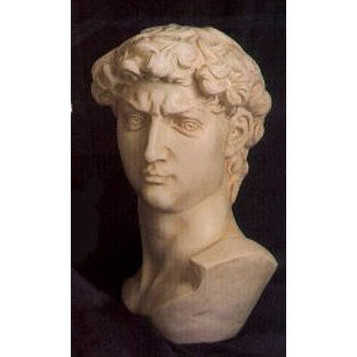 David Bust Large 18 -  Michelangelo Classical  Sculpture - XoticBrands Home Decor