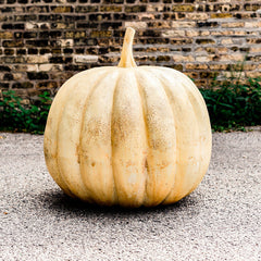 Pumpkin 24"H Garden Display - XoticBrands Home Decor