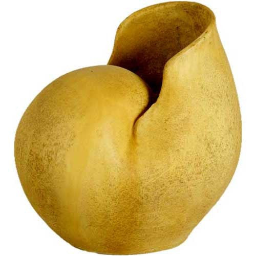 Nautilus Large 15 Garden Display - XoticBrands Home Decor